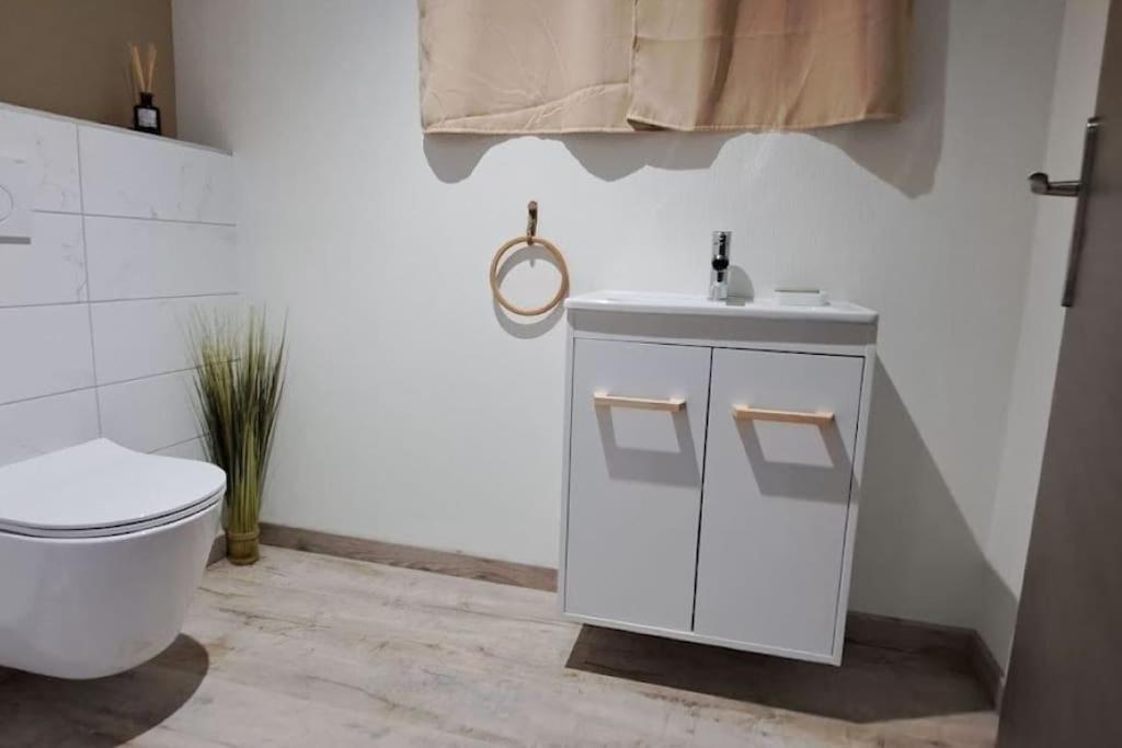 Apartment Grand Cosy Chez Pepette A 5 Min De Colmar Houssen